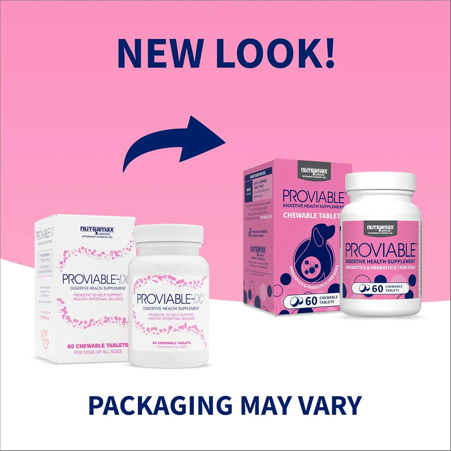 مکمل سلامت گوارش پروبیوتیک چند سویه Nutramax Laboratories Proviable برای سگ ها - حاوی 7 سویه باکتری، 60 قرص جویدنی