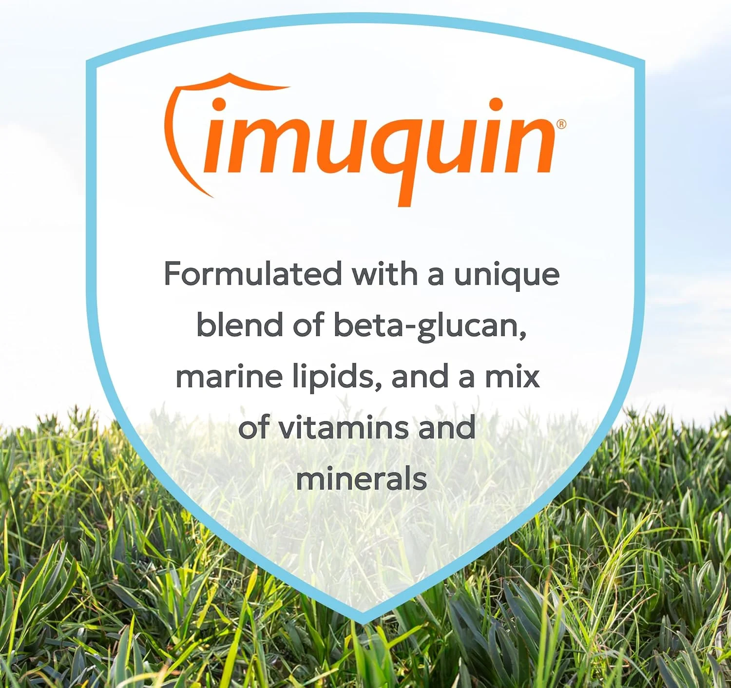 پودر مکمل تقویت سیستم ایمنی سگ نوترا مکس Imuquin، حاوی بتا گلوکان ها، لیپیدهای دریایی، ویتامین ها و مواد معدنی، 30 بسته، نسخه به روز شده