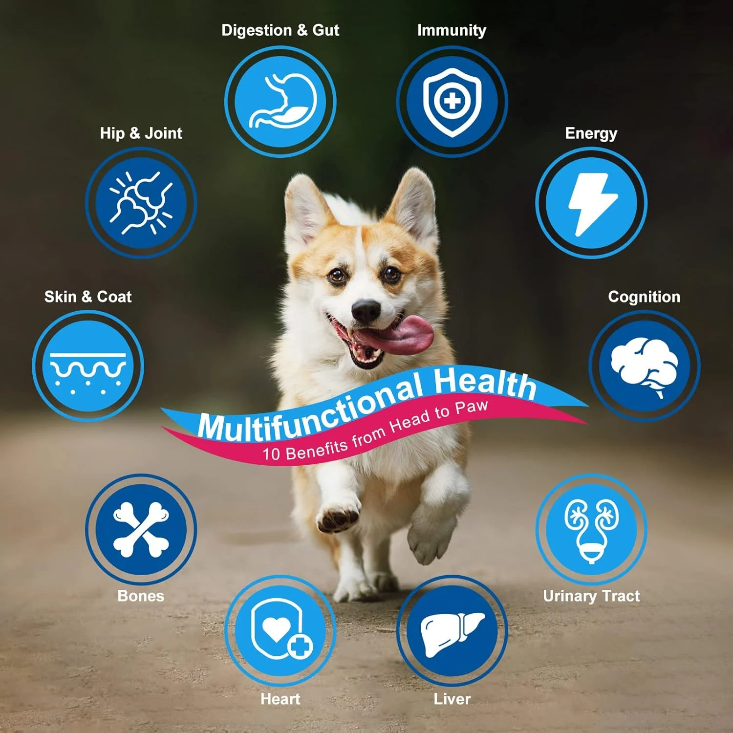 پودر ویتامین سگ NATURE TARGET، پروبیوتیک ها و آنزیم های گوارشی برای سلامت روده، گلوکوزامین و کندرویتین و امگا 3، مکمل کامل برای غذای خانگی سگ، پشتیبانی از مفاصل، پوست و سیستم ایمنی، تسکین آلرژی سگ