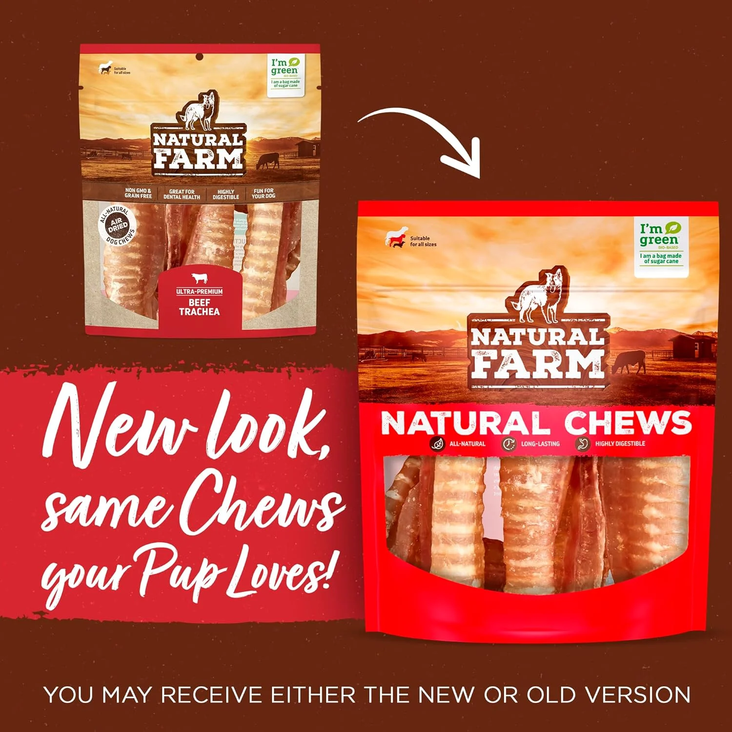 تشویقی نای گاو ممتاز طبیعی برای سگ (3 اینچ، بسته 12 عددی)، منبع طبیعی گلوکوزامین و کندرویتین برای سلامت مفاصل و لگن، سرشار از پروتئین، 100% نای گاو