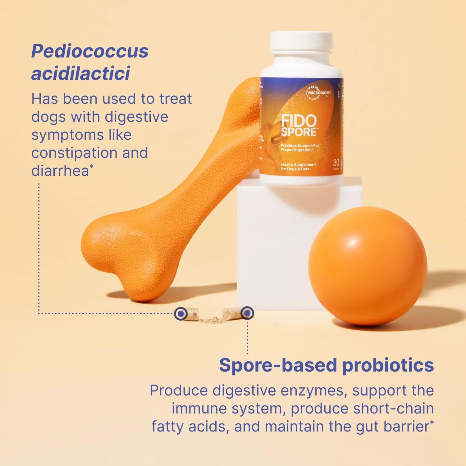 مکمل گوارشی سگ و گربه FidoSpore - پروبیوتیک مبتنی بر اسپور Bacillus Subtilis برای حمایت از هضم و سلامت روده - پروبیوتیک طعم دار جگر گاو تغذیه شده با علف برای سگ ها (30 کپسول)