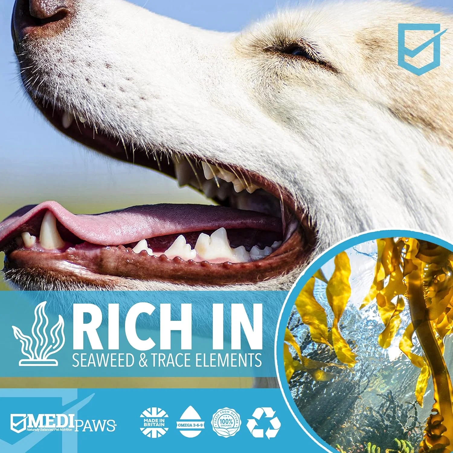 پودر از بین برنده جرم دندان سگ مدی پاوز، 350 گرمی | فقط به غذای سگ اضافه کنید - بدون نیاز به مسواک یا خمیر دندان سگ | از بین برنده بوی بد دهان و جرم دندان برای سگ ها، گربه ها و حیوانات خانگی