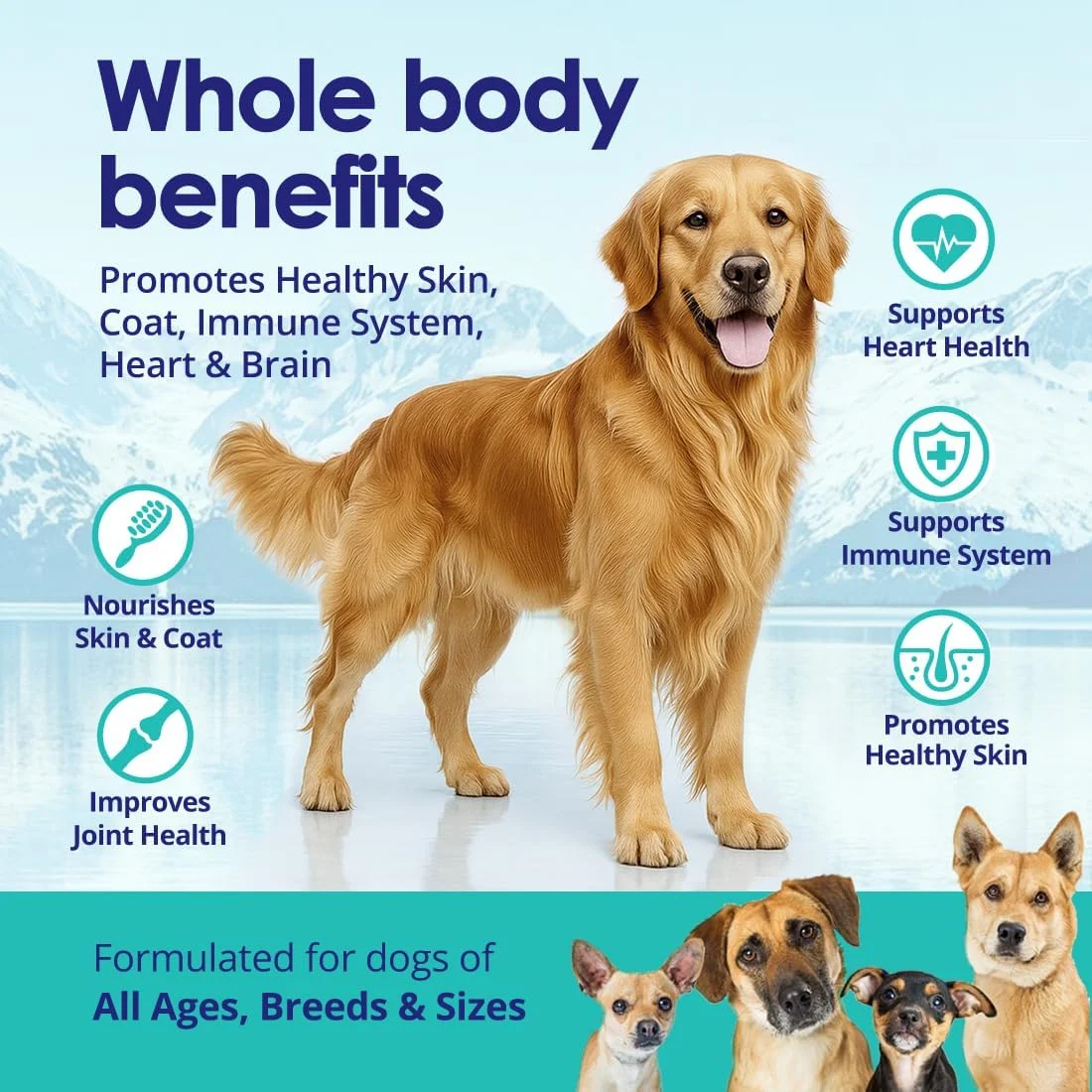 روغن ماهی مایع برای سگ ها با اسیدهای چرب امگا 3، 6 و 9، صید وحشی از ایسلند، مکمل پوست و مو برای ریزش مو، خارش پوست، آلرژی، سلامت مغز و قلب، غنی از EPA + DHA - 473 میلی لیتر روغن ماهی مایع برای سگ ها با اسیدهای چرب امگا 3، 6 و 9، صید وحشی از ایسلند، مکمل پوست و مو برای ریزش مو، خارش پوست، آلرژی، سلامت مغز و قلب، غنی از EPA + DHA - 473 میلی لیتر