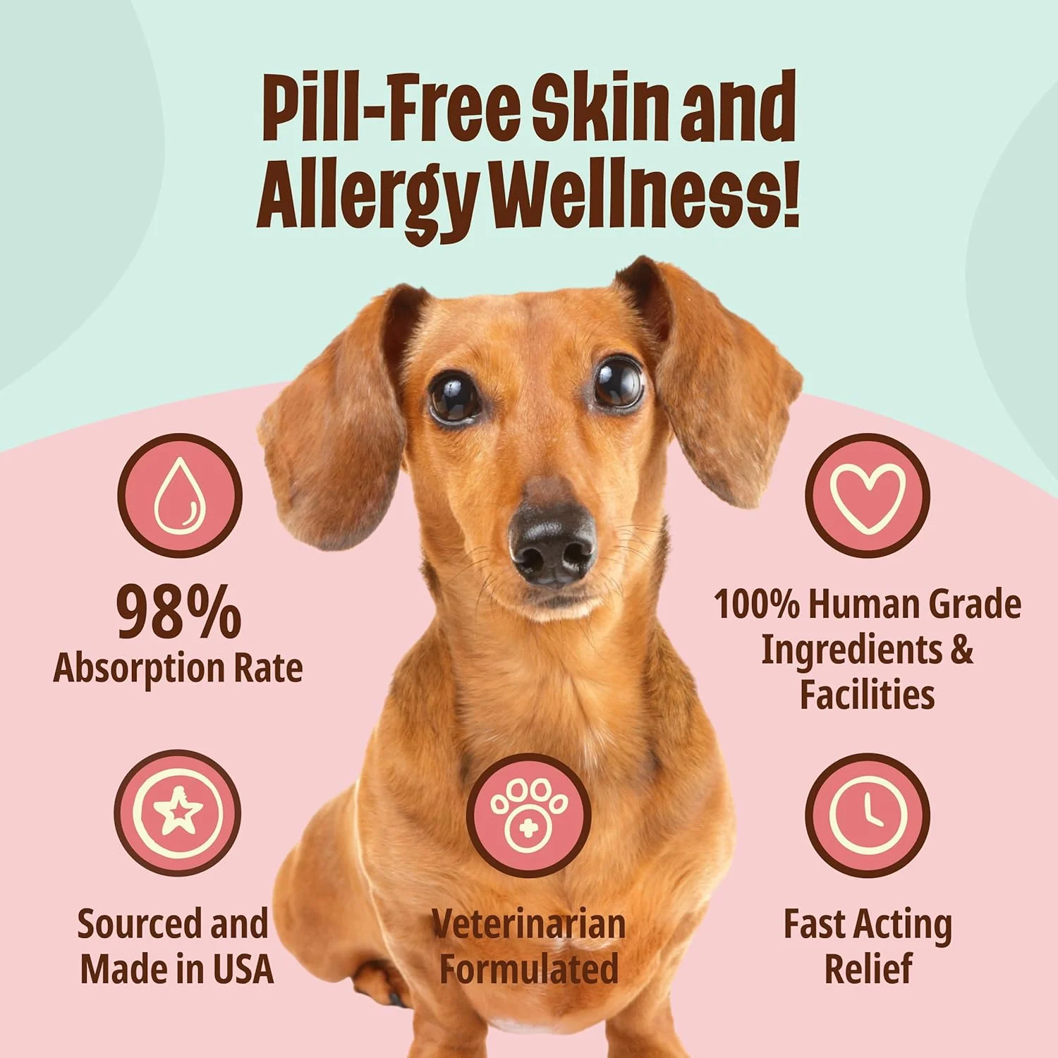 تسکین آلرژی سگ های کوچک - بسته های مایع تقویت کننده سیستم ایمنی و ضد آلرژی - 10 عدد