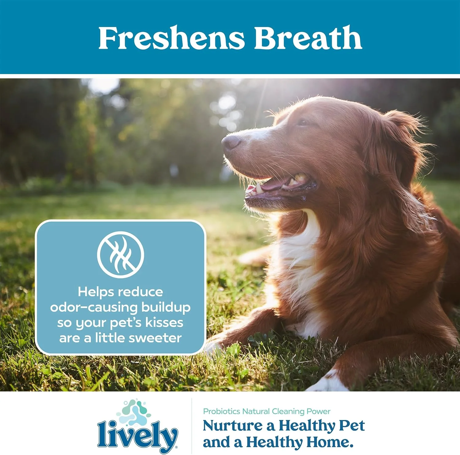 محلول افزودنی آب برای سلامت دهان و دندان حیوانات خانگی