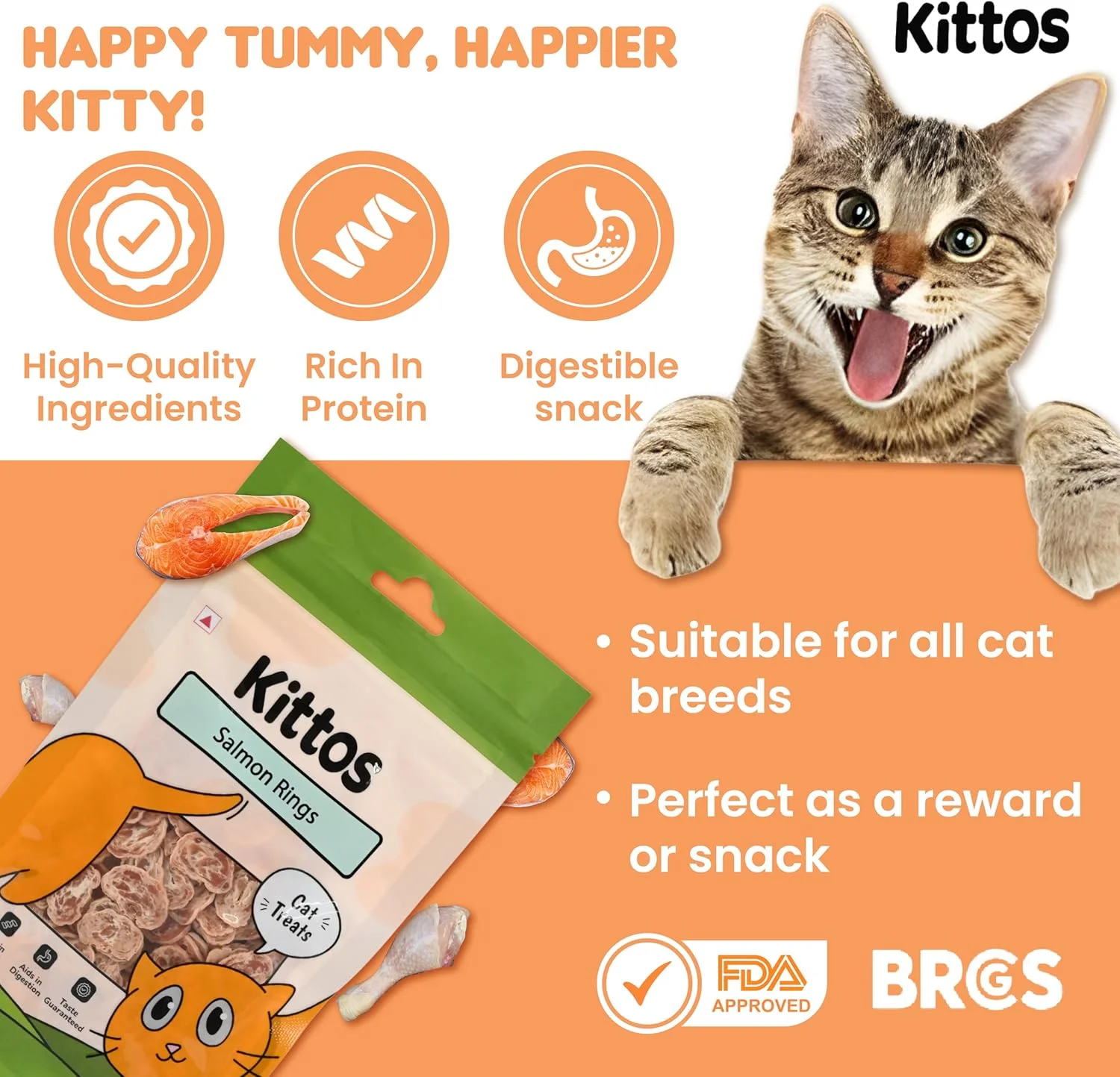 حلقه های ماهی سالمون کیتوس (بسته 6 عددی)