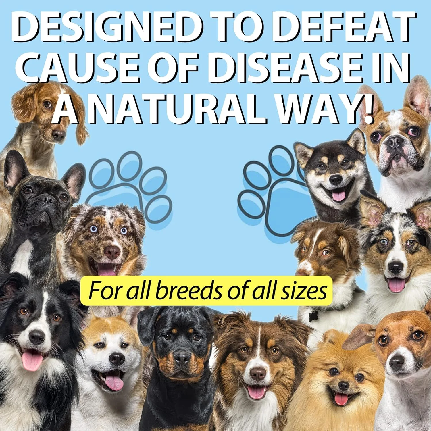 درمان سرفه سگی برای سگ ها، مکمل طبیعی سرفه برای سگ ها، تسکین دهنده ملایم احتقان سگ، تسکین دهنده آلرژی مایع سگ