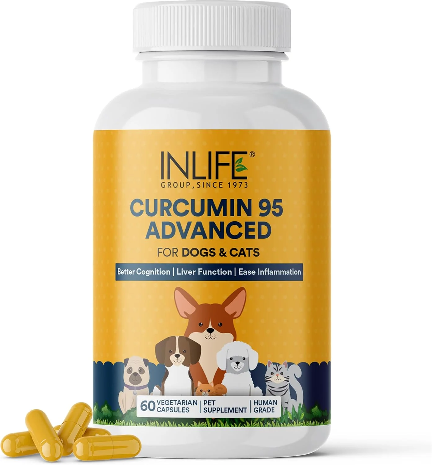 این لایف کورکومین به همراه پیپرین برای سگ، گربه و حیوانات خانگی، 95% کورکومینوئید برای ایمنی، عملکرد کبد و کاهش التهاب - 60 کپسول گیاهی