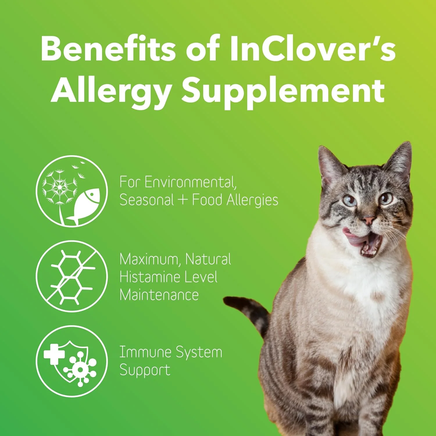 مکمل رفع آلرژی سگ In Clover از BioResiliant، پودر مکمل درمانی برای سگ های مبتلا به آلرژی فصلی، پشتیبانی طبیعی از آلرژی سگ با زردچوبه و منگوستین، کمک به حفظ سطح هیستامین
