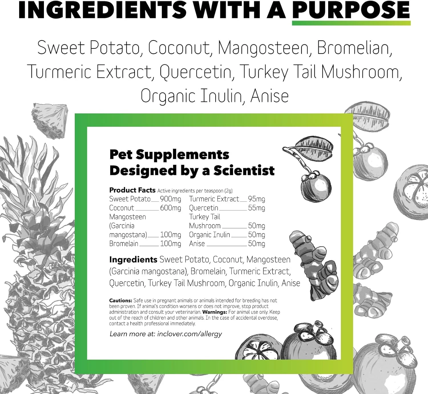 مکمل رفع آلرژی سگ In Clover از BioResiliant، پودر مکمل درمانی برای سگ های مبتلا به آلرژی فصلی، پشتیبانی طبیعی از آلرژی سگ با زردچوبه و منگوستین، کمک به حفظ سطح هیستامین