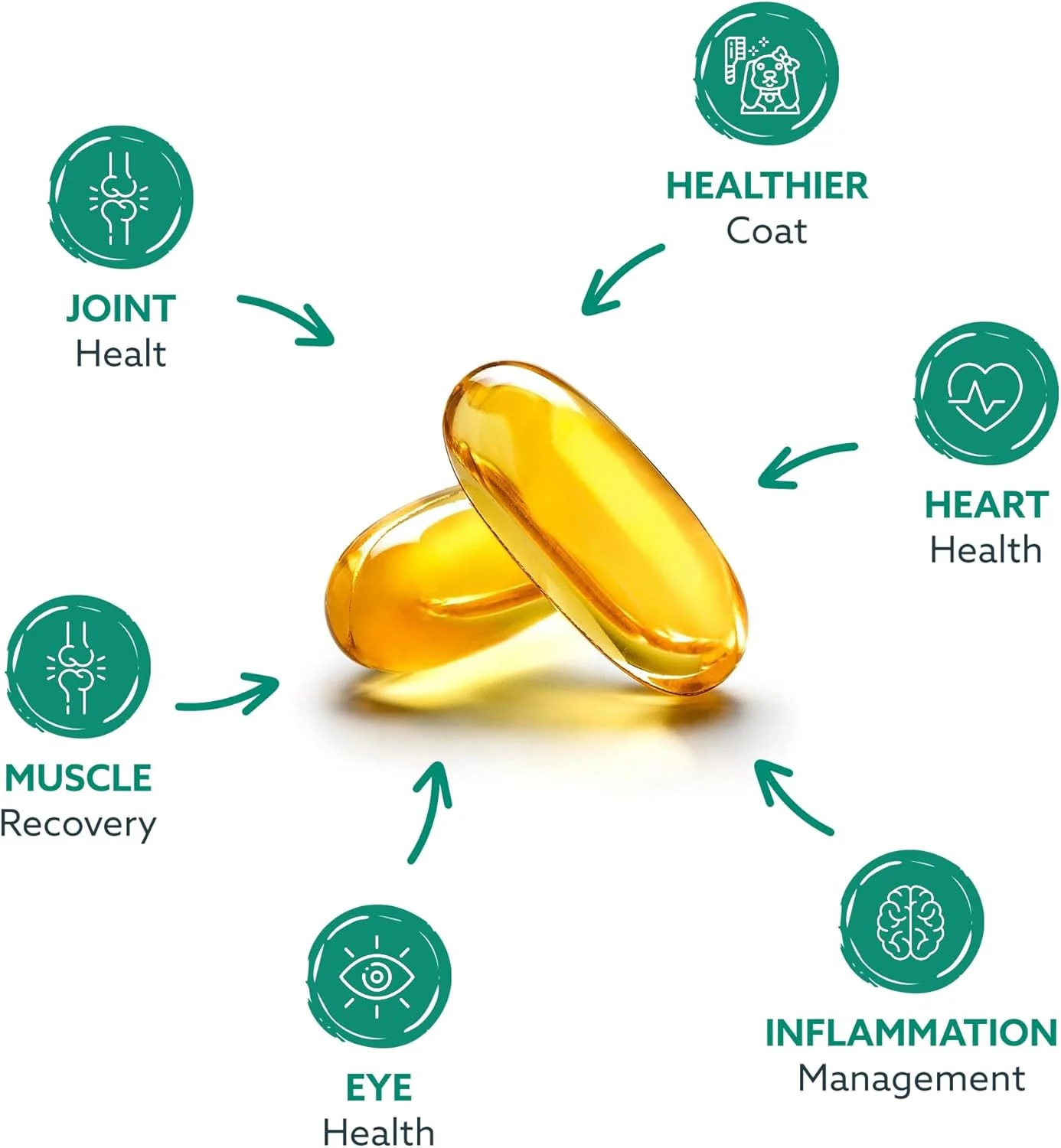 روغن صدف لب سبز GLX3 برای سگ ها - مکمل امگا 3 برای حمایت از مفاصل و لگن - پشتیبانی از تحرک و سلامت مفاصل، ایده آل برای همه نژادها و سنین سگ ها - 180 عدد جویدنی نرم - مواد طبیعی روغن صدف لب سبز GLX3 برای سگ ها - مکمل امگا 3 برای حمایت از مفاصل و لگن - پشتیبانی از تحرک و سلامت مفاصل، ایده آل برای همه نژادها و سنین سگ ها - 180 عدد جویدنی نرم - مواد طبیعی