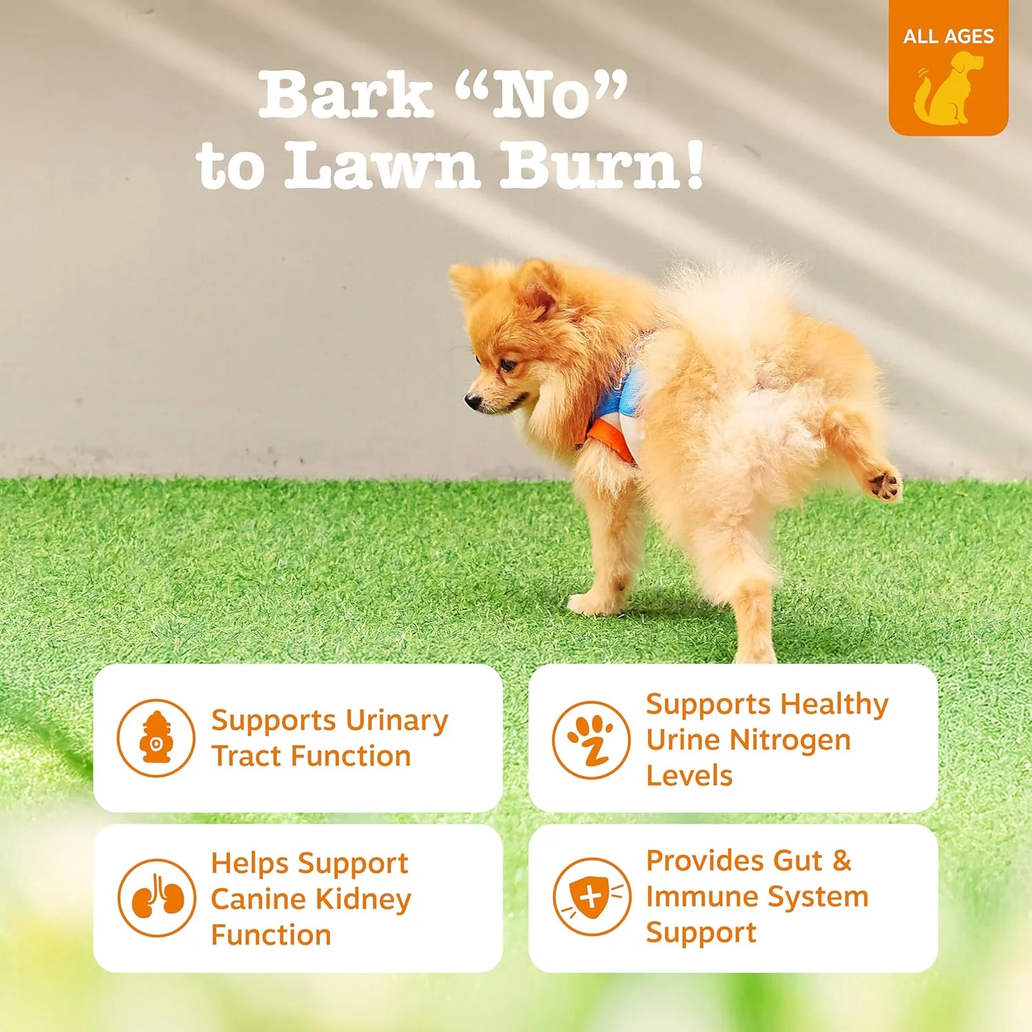 تشویقی سگ برای جلوگیری از سوختگی چمن ناشی از ادرار سگ - حاوی کرن بری Cran-Max برای مجاری ادراری، کلیه و مثانه - سرکه سیب + آنزیم های گوارشی و DL-متیونین - 90 عدد