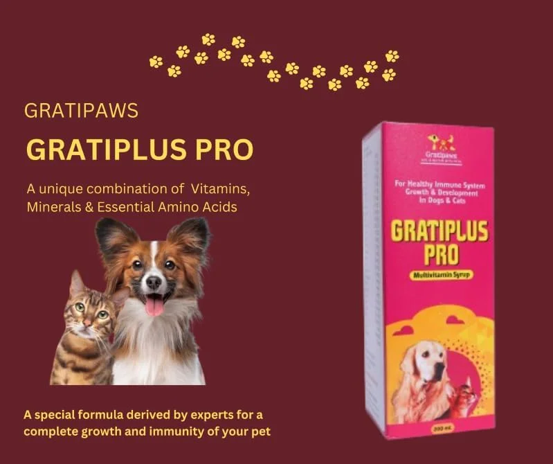 شربت مولتی ویتامین گراتی پلاس پرو گراتی پاز برای سگ ها و گربه های خانگی | پشتیبانی از سیستم ایمنی، رشد و توسعه | غنی شده با ویتامین های ضروری، اسیدهای آمینه و مواد معدنی