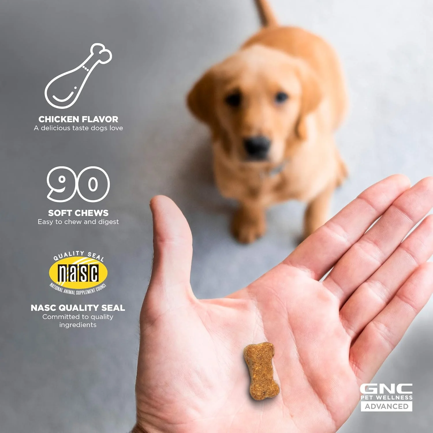 مکمل های غذایی سگ برای تقویت بینایی پیشرفته GNC Pets | 90 عدد مکمل چشم برای سگ ها برای حمایت از عملکرد سالم بینایی | جویدنی های نرم با طعم مرغ برای سگ های بالغ حاوی ویتامین C، لوتئین و ویتامین A