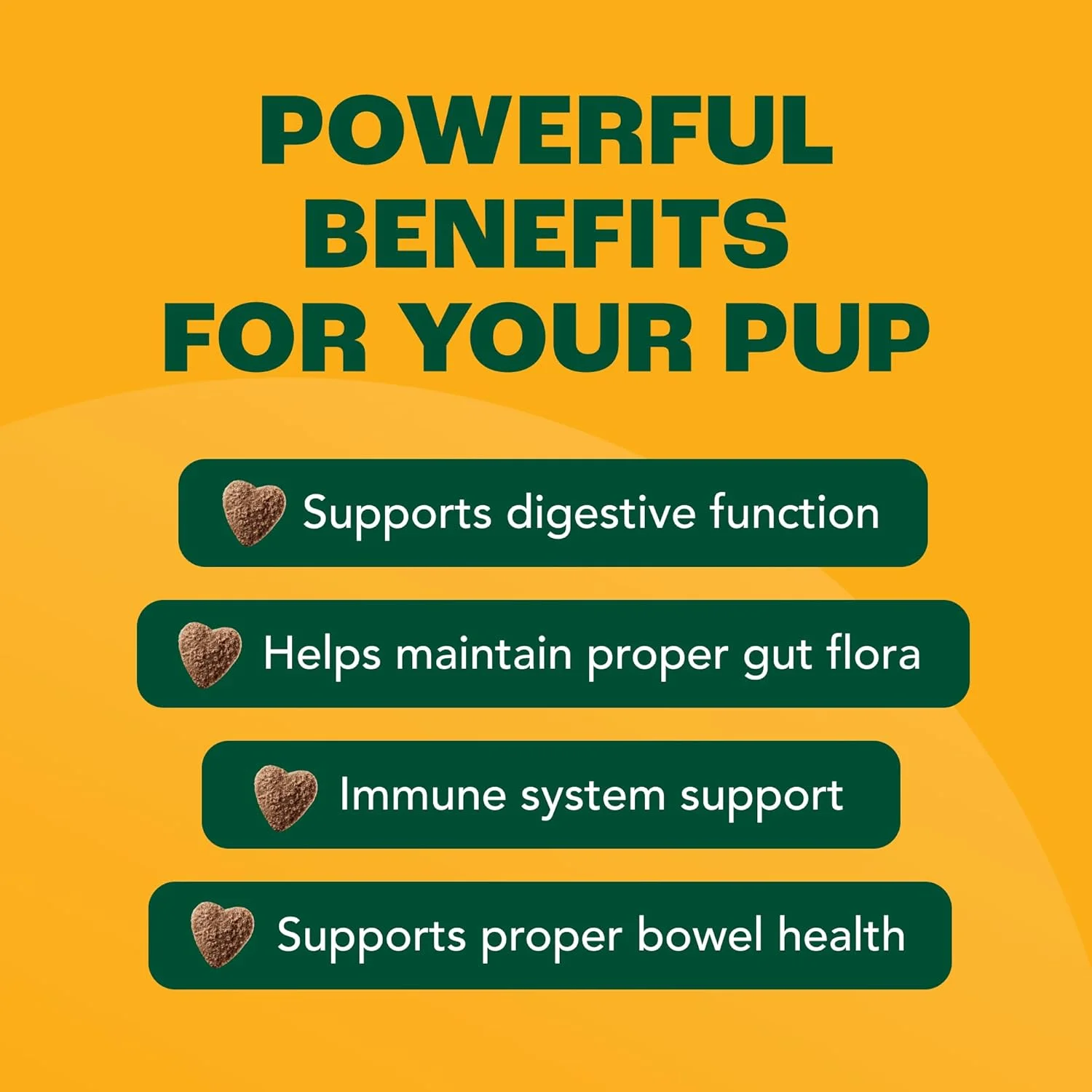 پروبیوتیک سگ با پری‌بیوتیک، فیبر، ریشه کاسنی و کدو تنبل | قرص‌های جویدنی پروبیوتیک سگ با ۸ سویه | پروبیوتیک سگ برای سلامت دستگاه گوارش، حمایت از روده، اسهال و فلور روده، ۹۰ عدد