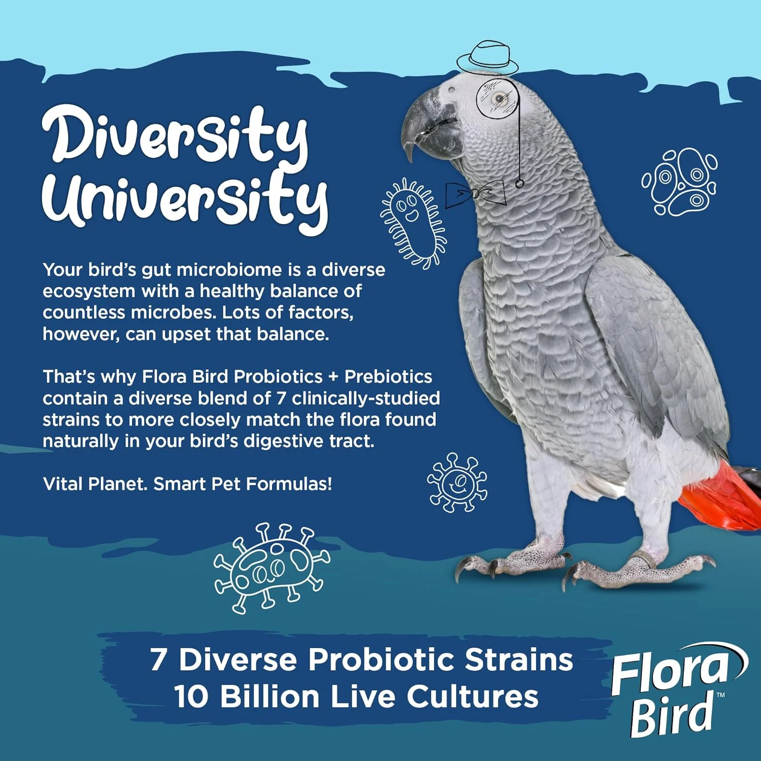 ویتال پلنت - مکمل پودر پروبیوتیک Flora Bird با 10 میلیارد کشت و 7 سویه متنوع، پروبیوتیک های قوی برای همه پرندگان برای حمایت از هضم و سیستم ایمنی پرندگان، 80 پیمانه 30 گرم ویتال پلنت - مکمل پودر پروبیوتیک Flora Bird با 10 میلیارد کشت و 7 سویه متنوع، پروبیوتیک های قوی برای همه پرندگان برای حمایت از هضم و سیستم ایمنی پرندگان، 80 پیمانه 30 گرم