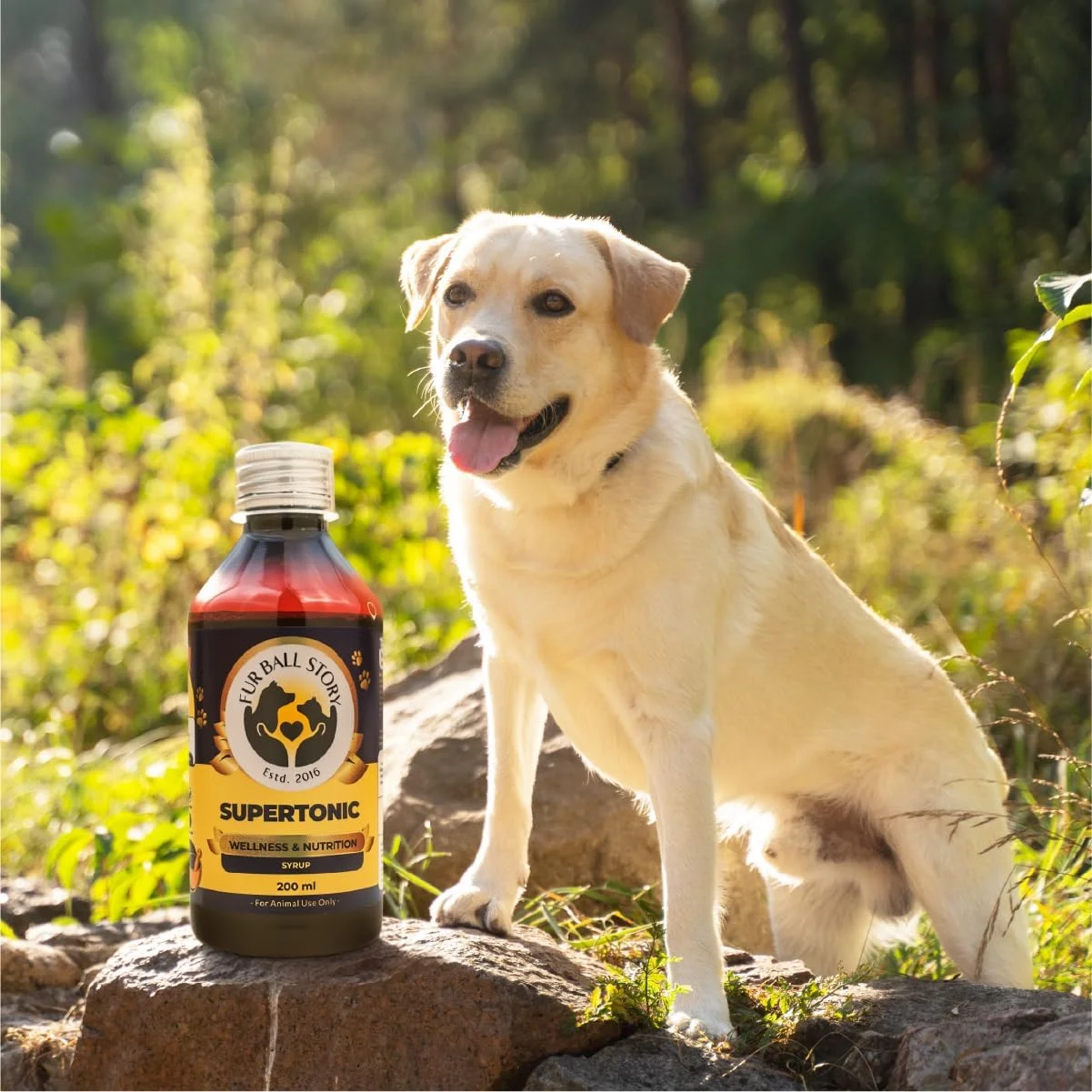 شربت سوپرتونیک Fur Ball Story برای حیوانات خانگی (۲۰۰ میلی لیتر) - تقویت سیستم ایمنی، سلامت کلیه و کبد و سلامت روده