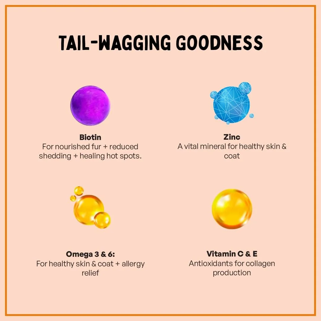 مکمل پوست و مو Furlicks برای سگ و گربه | بیوتین (ویتامین B7)، اسیدهای چرب امگا 3 و 6 و دانه چیا برای موهای ضخیم و براق، پوست سالم و کاهش ریزش مو (60 عدد نوار خوراکی حل شونده)