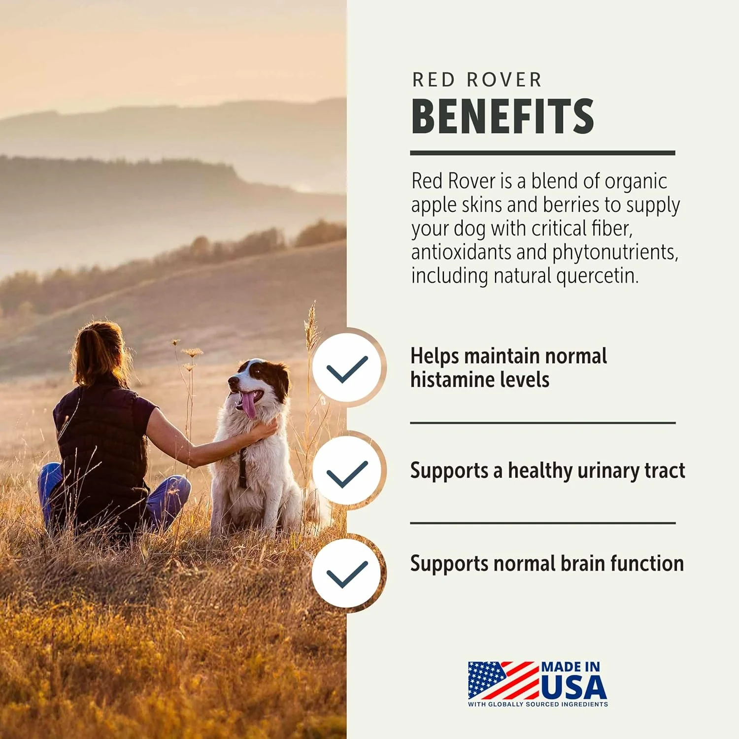 مکمل دستگاه ادراری سگ با شبدر چهار برگ - حاوی ویتامین های توت و سیب ارگانیک - منبع خوب پلی فنول ها و آنتی اکسیدان ها - 30 وعده برای سگ های بزرگ