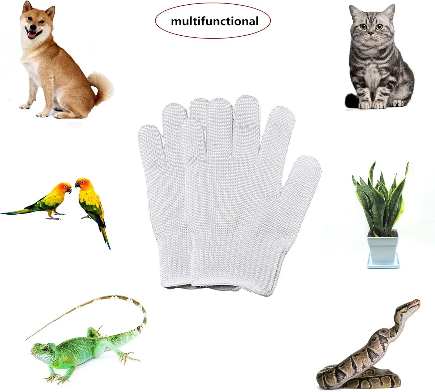 دستکش محافظ آموزش پرندگان در برابر گاز گرفتن، دستکش سیم فولادی برای ایمنی در برابر جویدن طوطی، دستکش های نگهداری حیوانات کوچک برای طوطی های کوچک (سفید) دستکش محافظ آموزش پرندگان در برابر گاز گرفتن، دستکش سیم فولادی برای ایمنی در برابر جویدن طوطی، دستکش های نگهداری حیوانات کوچک برای طوطی های کوچک (سفید)
