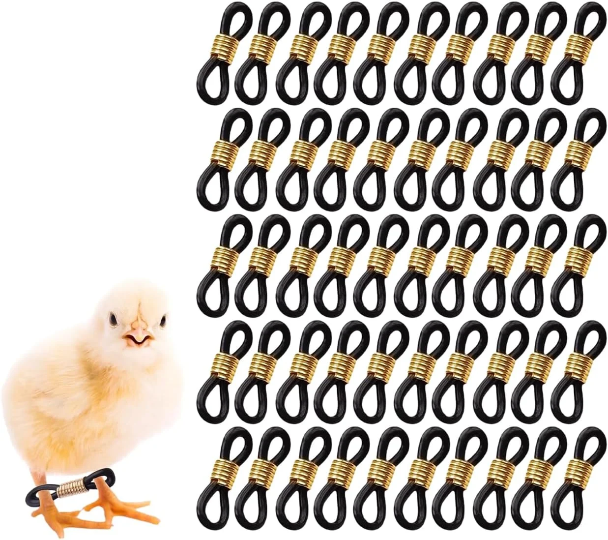 50 عدد حلقه پای مشکی برای جوجه، بند پای قابل تنظیم برای اصلاح پای باز شده، لوازم مراقبت از طیور برای جوجه، پرنده، بلدرچین، اردک تازه متولد شده 50 عدد حلقه پای مشکی برای جوجه، بند پای قابل تنظیم برای اصلاح پای باز شده، لوازم مراقبت از طیور برای جوجه، پرنده، بلدرچین، اردک تازه متولد شده