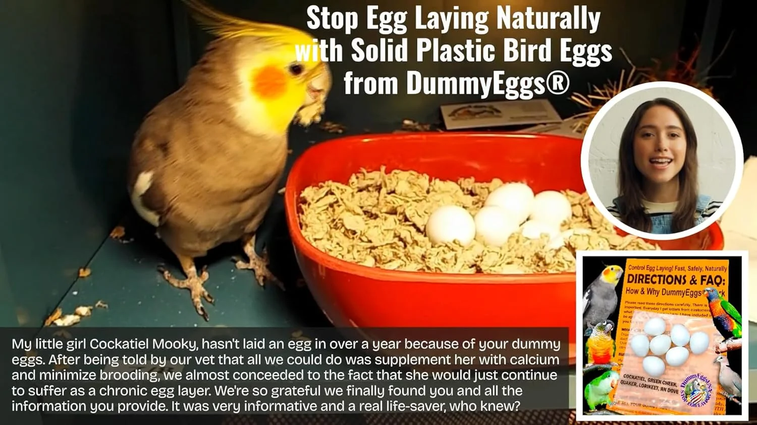 اسباب بازی جویدنی سگ، بادوام و مشابه واقعی اسباب بازی جویدنی سگ، بادوام و مشابه واقعی