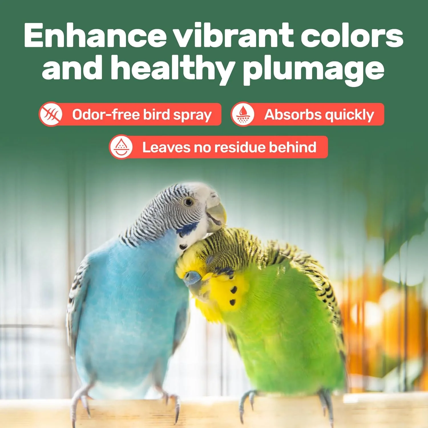 اسپری آلوئه ورا برای پرندگان - 251 میلی لیتر - غیر سمی، تسکین دهنده پوست خشک/خارش دار و نرم کننده پرها - ساخت آمریکا - ایمن و موثر برای همه پرندگان - تقویت کننده پرهای سالم - بدون بو اسپری آلوئه ورا برای پرندگان - 251 میلی لیتر - غیر سمی، تسکین دهنده پوست خشک/خارش دار و نرم کننده پرها - ساخت آمریکا - ایمن و موثر برای همه پرندگان - تقویت کننده پرهای سالم - بدون بو