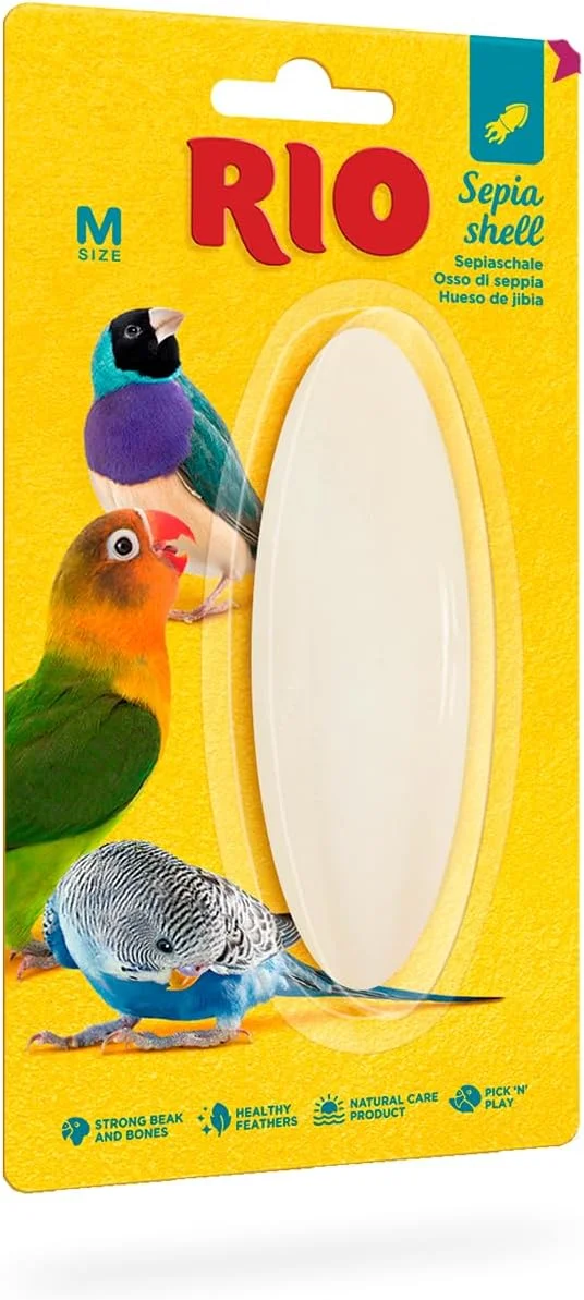 صدف سپیا ریو سایز M صدف سپیا ریو سایز M