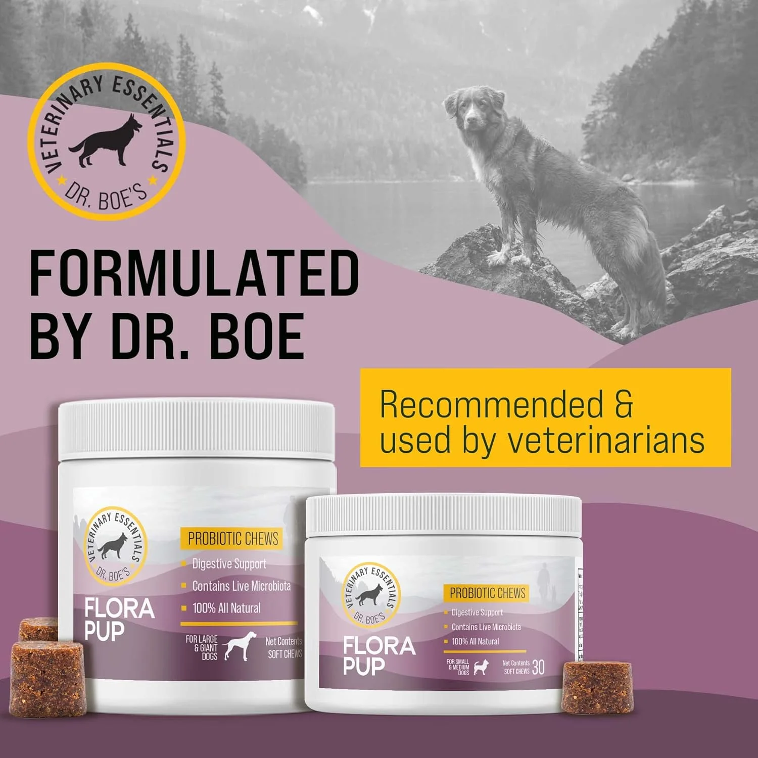 فلوراپاپ، پشتیبانی پروبیوتیک و گوارشی برای سگ ها - تقویت و حفظ سلامت روده، کاهش التهاب، پشتیبانی از سیستم ایمنی - 30 عدد (سگ های بزرگ و غول پیکر) فلوراپاپ، پشتیبانی پروبیوتیک و گوارشی برای سگ ها - تقویت و حفظ سلامت روده، کاهش التهاب، پشتیبانی از سیستم ایمنی - 30 عدد (سگ های بزرگ و غول پیکر)