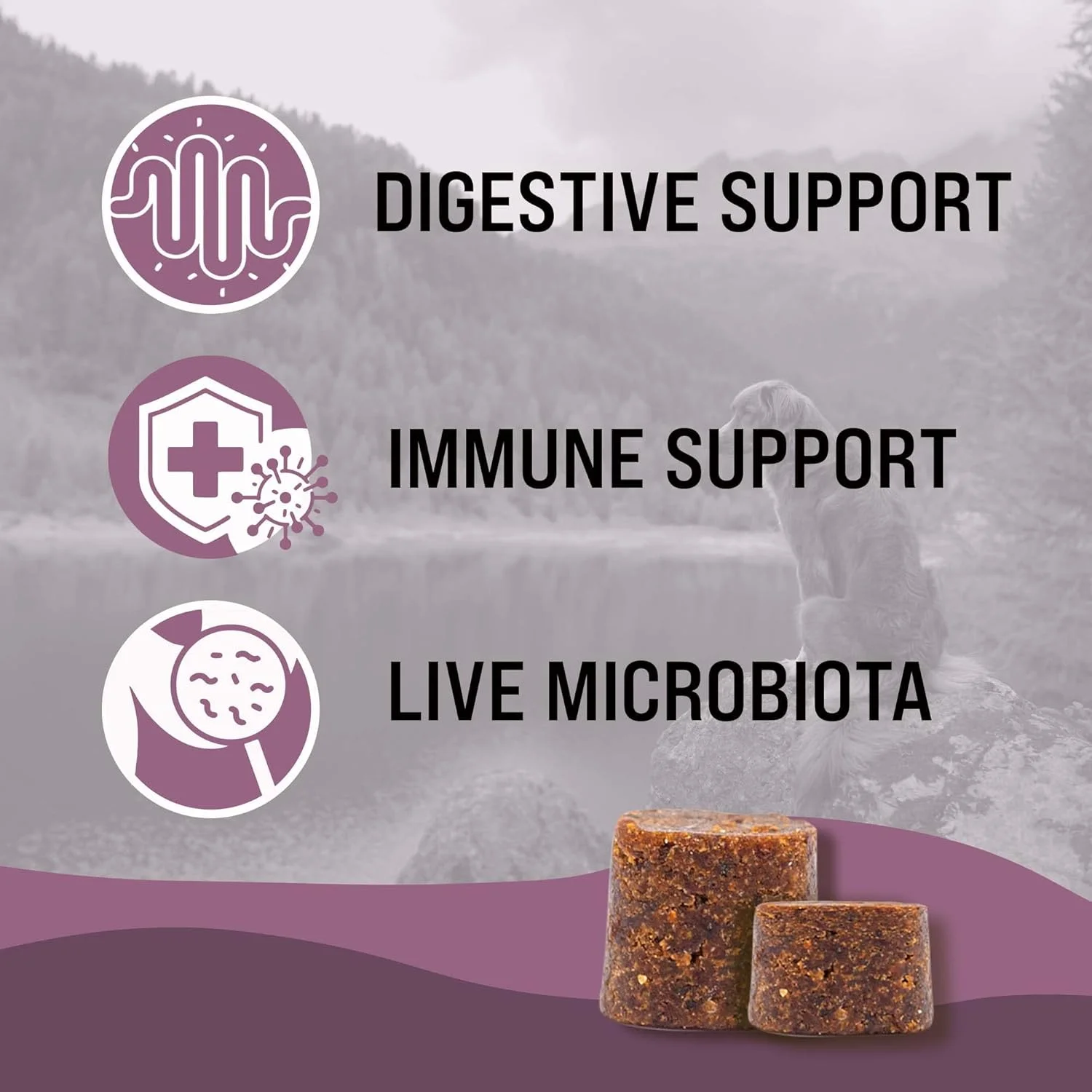 فلوراپاپ، پشتیبانی پروبیوتیک و گوارشی برای سگ ها - تقویت و حفظ سلامت روده، کاهش التهاب، پشتیبانی از سیستم ایمنی - 30 عدد (سگ های بزرگ و غول پیکر) فلوراپاپ، پشتیبانی پروبیوتیک و گوارشی برای سگ ها - تقویت و حفظ سلامت روده، کاهش التهاب، پشتیبانی از سیستم ایمنی - 30 عدد (سگ های بزرگ و غول پیکر)