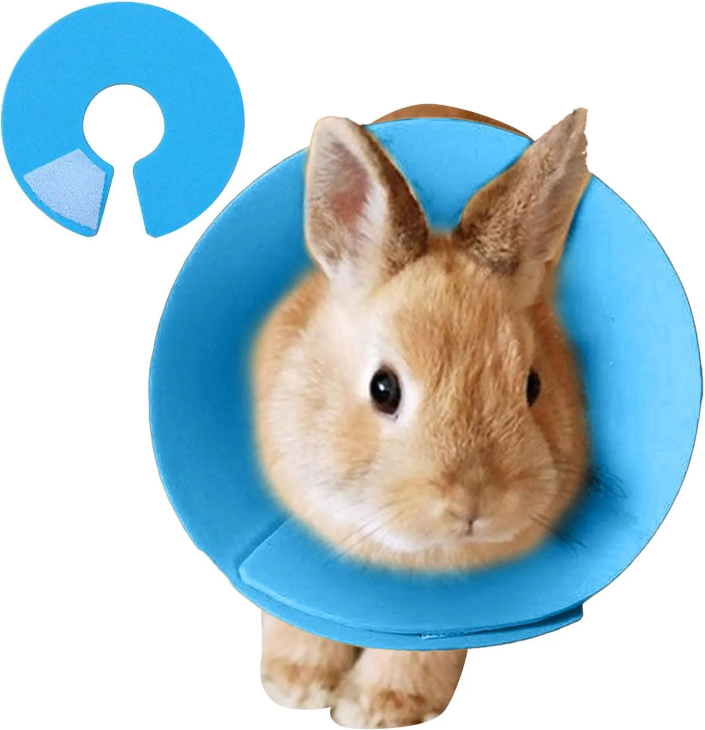 طوق گردنی محافظ همستر، طوق نرم ضد لیسیدن همستر، گردنبند قابل تنظیم ضد گاز گرفتن حیوانات خانگی برای جلوگیری از ریزش مو، محافظت از زخم طوطی و مسافرت روزانه طوق گردنی محافظ همستر، طوق نرم ضد لیسیدن همستر، گردنبند قابل تنظیم ضد گاز گرفتن حیوانات خانگی برای جلوگیری از ریزش مو، محافظت از زخم طوطی و مسافرت روزانه