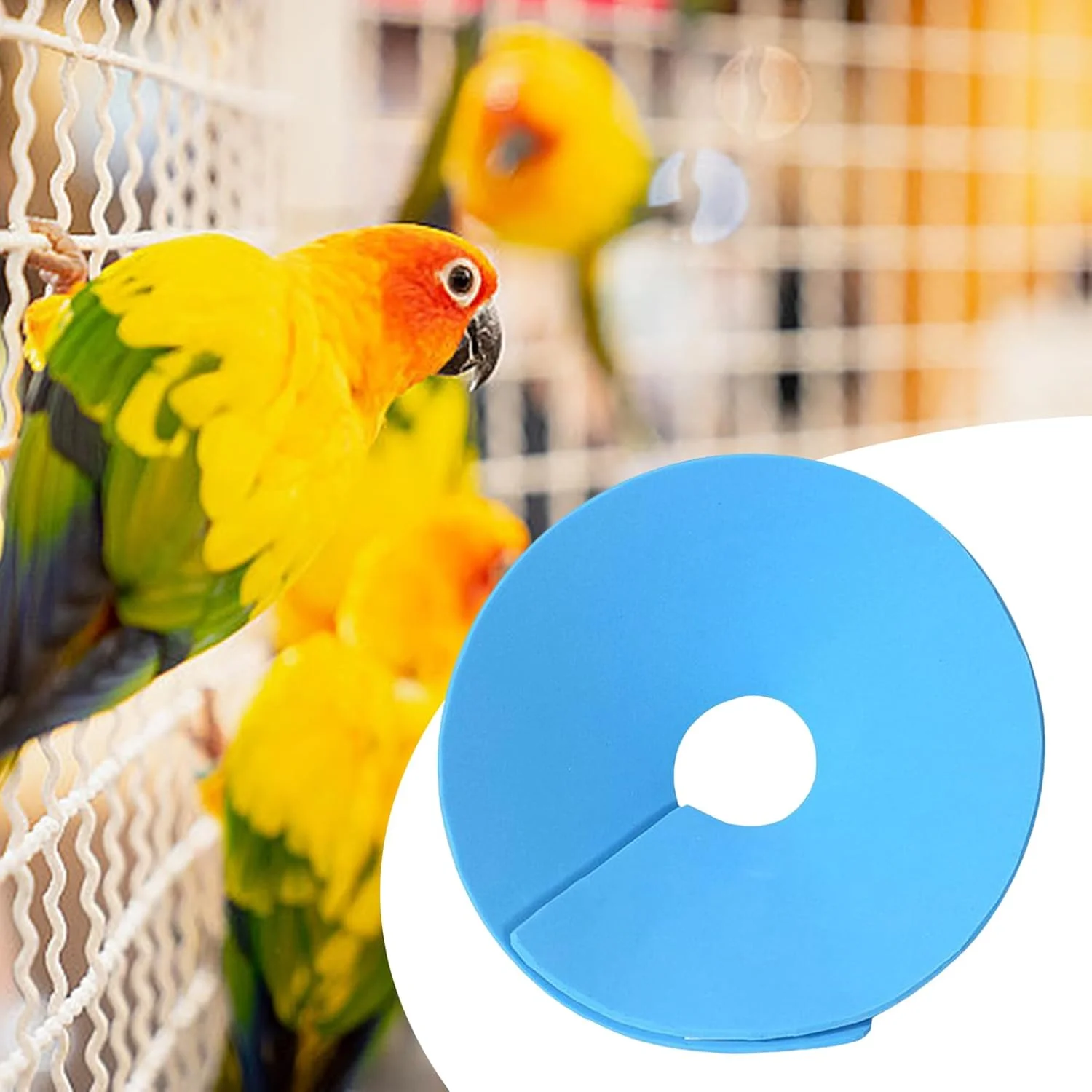 طوق محافظ گردن پرنده برای طوطی، گردنبند راحت لوازم حیوانات خانگی برای موش، آموزش روزانه گربه، مسافرت راسو، محافظت از زخم و جلوگیری از لیسیدن طوق محافظ گردن پرنده برای طوطی، گردنبند راحت لوازم حیوانات خانگی برای موش، آموزش روزانه گربه، مسافرت راسو، محافظت از زخم و جلوگیری از لیسیدن
