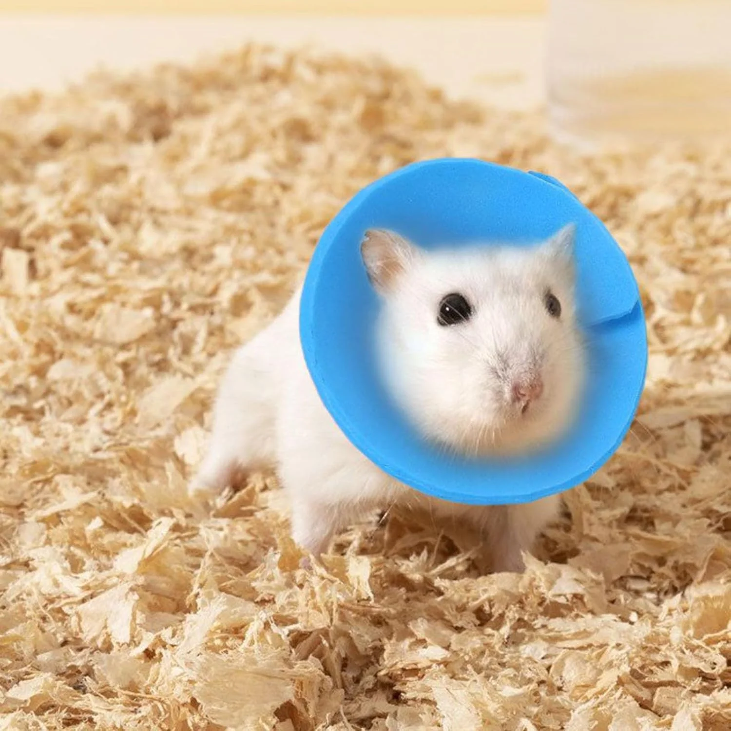 طوق گردنی پرندگان، طوق محافظ نرم همستر ضد لیسیدن | لوازم حیوانات خانگی با قابلیت تنظیم برای محافظت، مسافرت و جلوگیری از زخم برای گربه، خرگوش، طوطی و راسو