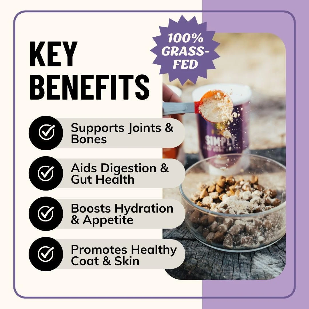 آب قلم گاو تغذیه شده با علف Fido's برای سگ ها 200 گرم با 94% پروتئین - پودر آب قلم درجه انسانی برای سگ های بد غذا - ساخت آمریکا - بدون مواد نگهدارنده - پشتیبانی از مفاصل + سلامت روده - 60 پیمانه