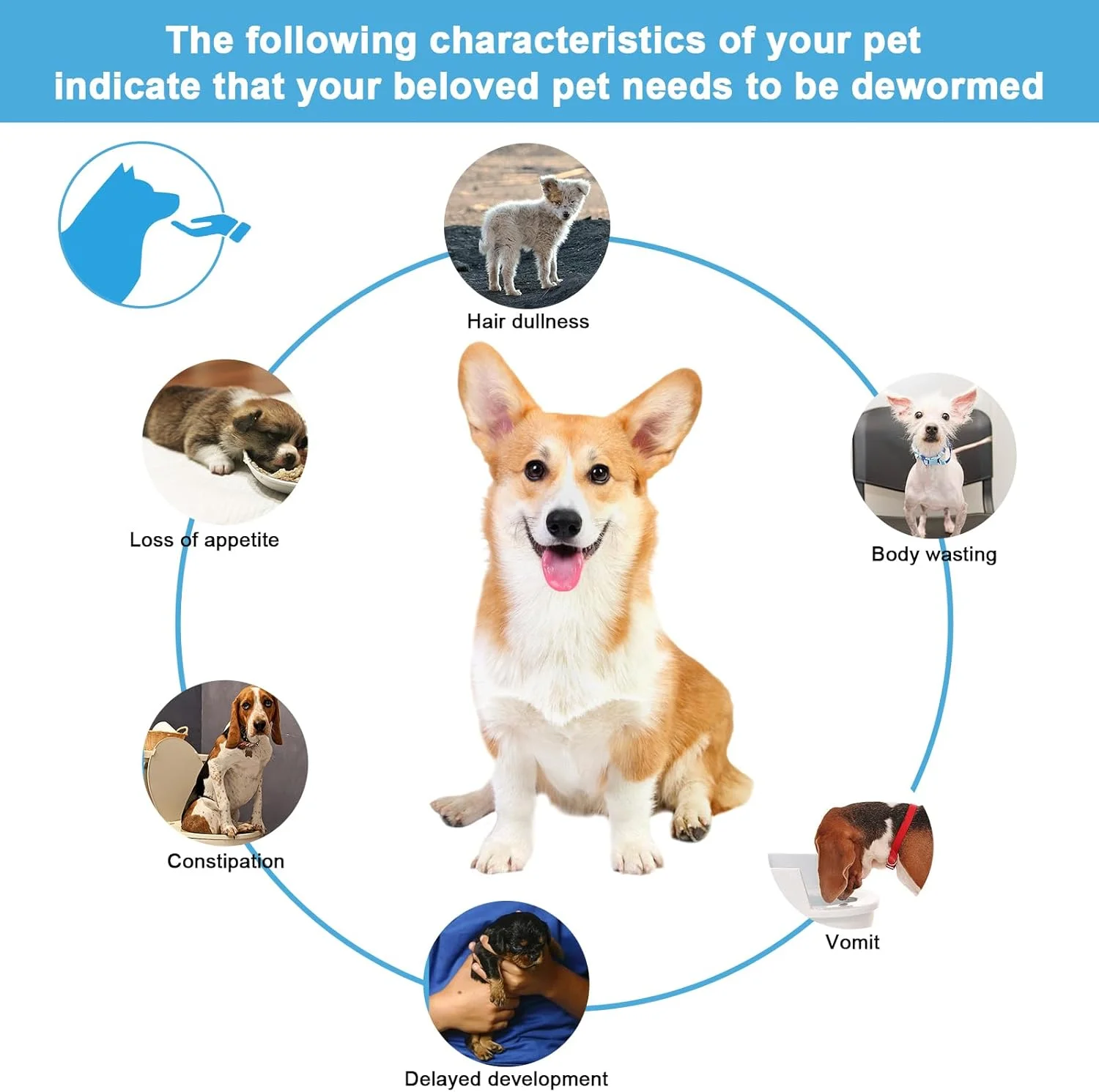 ۶ عدد کپسول قرص انگل زدایی حیوانات خانگی برای سگ و گربه، انگل زدایی داخلی