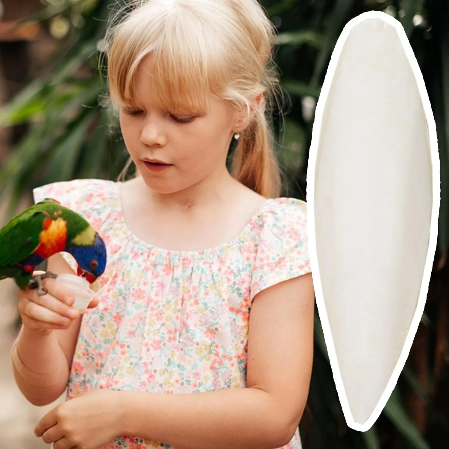 ۴ عدد استخوان معدنی برای طوطی، منبع طبیعی کلسیم، مکمل غذایی پرندگان خانگی برای گنجشک، ماکائو، کانور، عروس هلندی و طوطی ۴ عدد استخوان معدنی برای طوطی، منبع طبیعی کلسیم، مکمل غذایی پرندگان خانگی برای گنجشک، ماکائو، کانور، عروس هلندی و طوطی