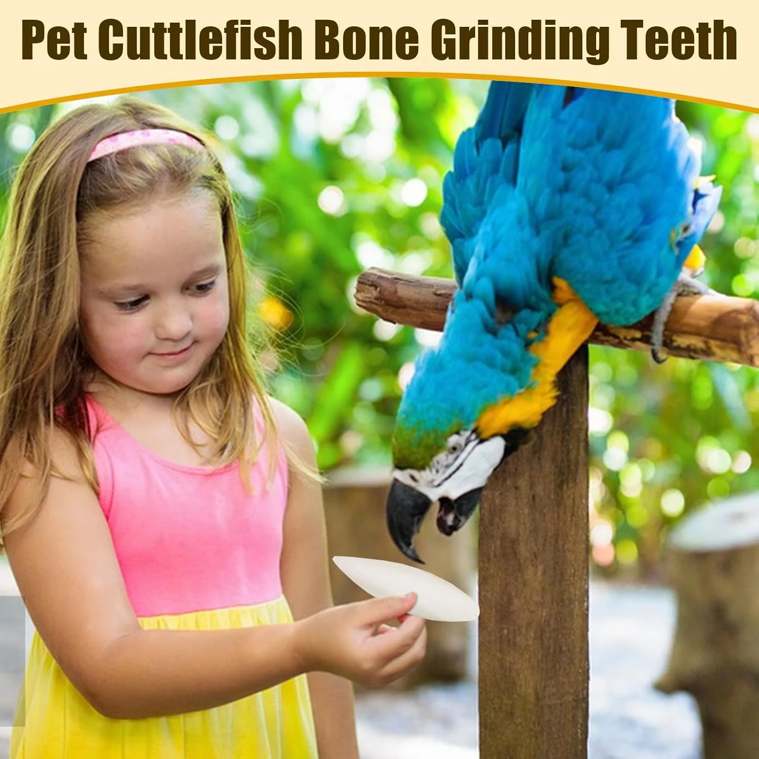 استخوان مخصوص پرندگان، استخوان مخصوص طوطی | 4 عدد مکمل غذایی کلسیم برای پرندگان خانگی، مناسب برای عروس هلندی، گنجشک، مرغ عشق، کانور و باجریگار