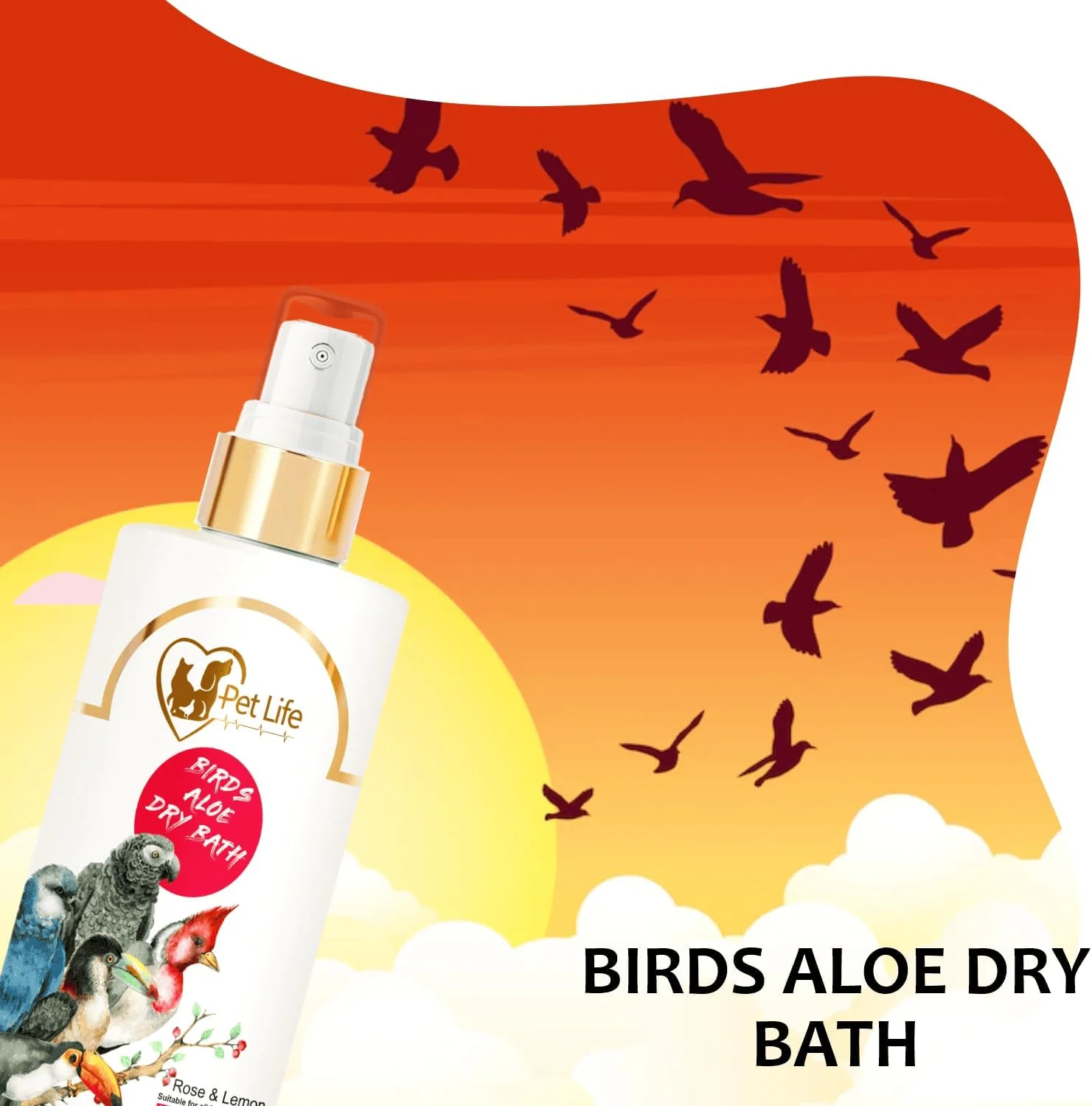 شامپو خشک و اسپری حمام خشک آلوئه ورا ارگانیک و آیورودیک پت لایف برای پرندگان طیور، طوطی، جوجه، مرغ، کبوتر، اردک - مواد طبیعی برای پوشش تمیزتر و براق تر - مناسب برای انواع پرندگان - 200 میلی لیتر شامپو خشک و اسپری حمام خشک آلوئه ورا ارگانیک و آیورودیک پت لایف برای پرندگان طیور، طوطی، جوجه، مرغ، کبوتر، اردک - مواد طبیعی برای پوشش تمیزتر و براق تر - مناسب برای انواع پرندگان - 200 میلی لیتر