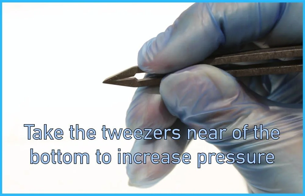 تست تعیین جنسیت DNA طوطی – کیت تعیین جنسیت پرندگان برای کاسکو، ماکائو، مرغ عشق، کوتوله برزیلی، کاکادو، شاه طوطی (+300 گونه طوطی سانان) – تعیین جنسیت پرندگان و تست DNA