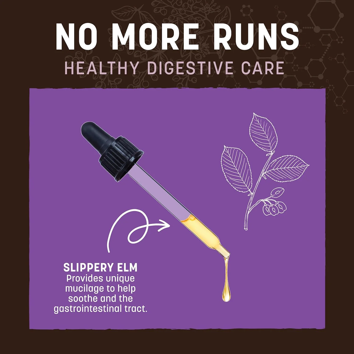 درمان های گیاهی Earth Animal | قطع اسهال | 2 fl oz