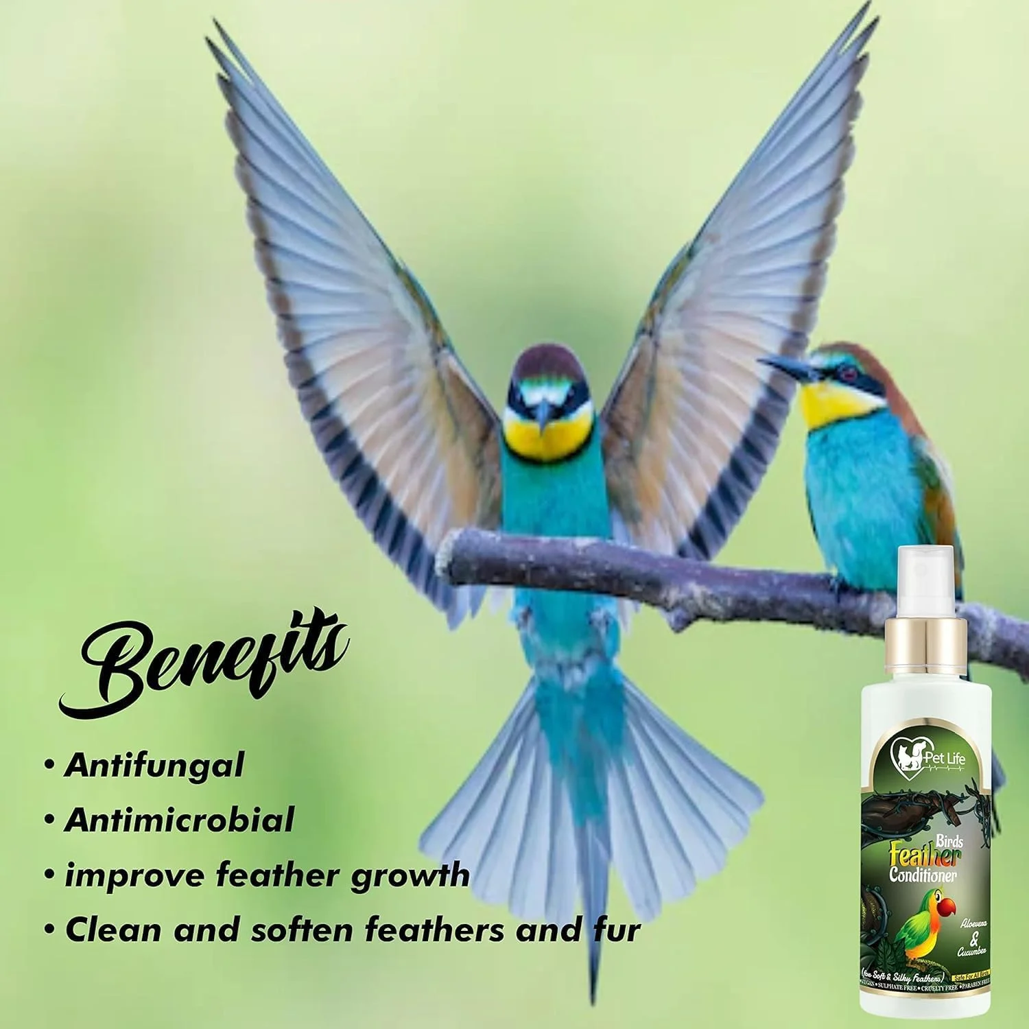 اسپری نرم کننده پر پرندگان ارگانیک و آیورودیک پت لایف، خشک و بدون نیاز به آب برای پرندگان اهلی، طوطی، گنجشک، کبوتر، مرغ اسپری نرم کننده پر پرندگان ارگانیک و آیورودیک پت لایف، خشک و بدون نیاز به آب برای پرندگان اهلی، طوطی، گنجشک، کبوتر، مرغ