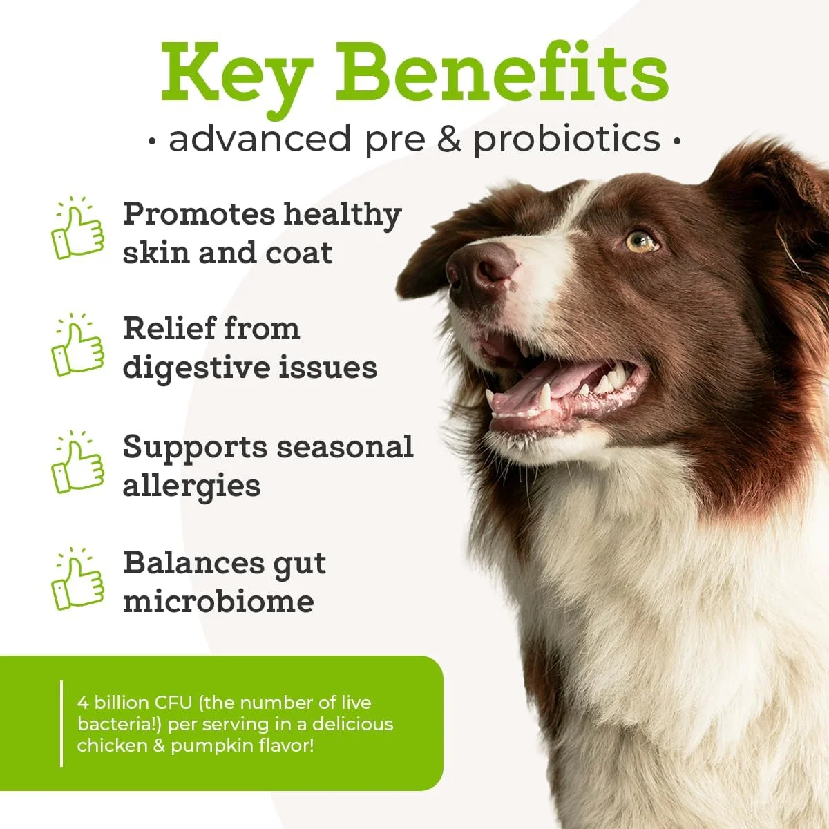 پودر پری و پروبیوتیک پیشرفته کامل VetPro دکتر جوزف برای سگ ها، 90 پیمانه، پشتیبانی از سلامت روده، اسهال، سلامت دستگاه گوارش و آلرژی های فصلی، طعم مرغ/کدو تنبل، افزودن به غذا