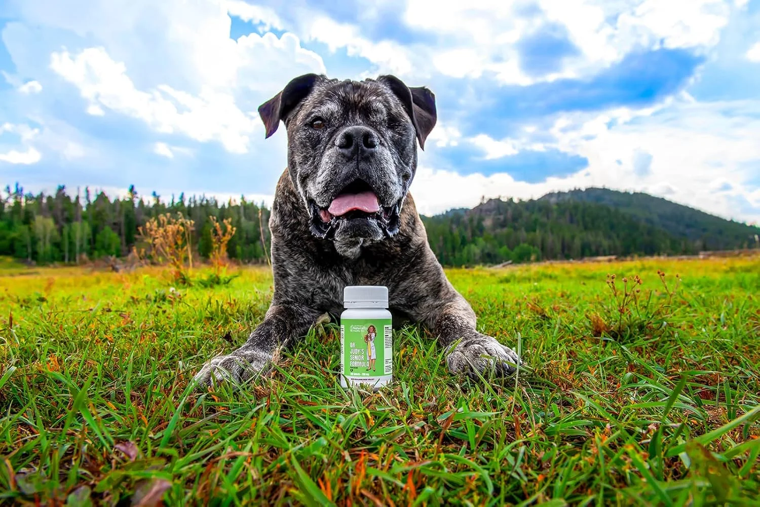 فرمول مخملی گوزن نیوزلندی دکتر جودی مورگان برای حیوانات خانگی سالم و سگ های مسن