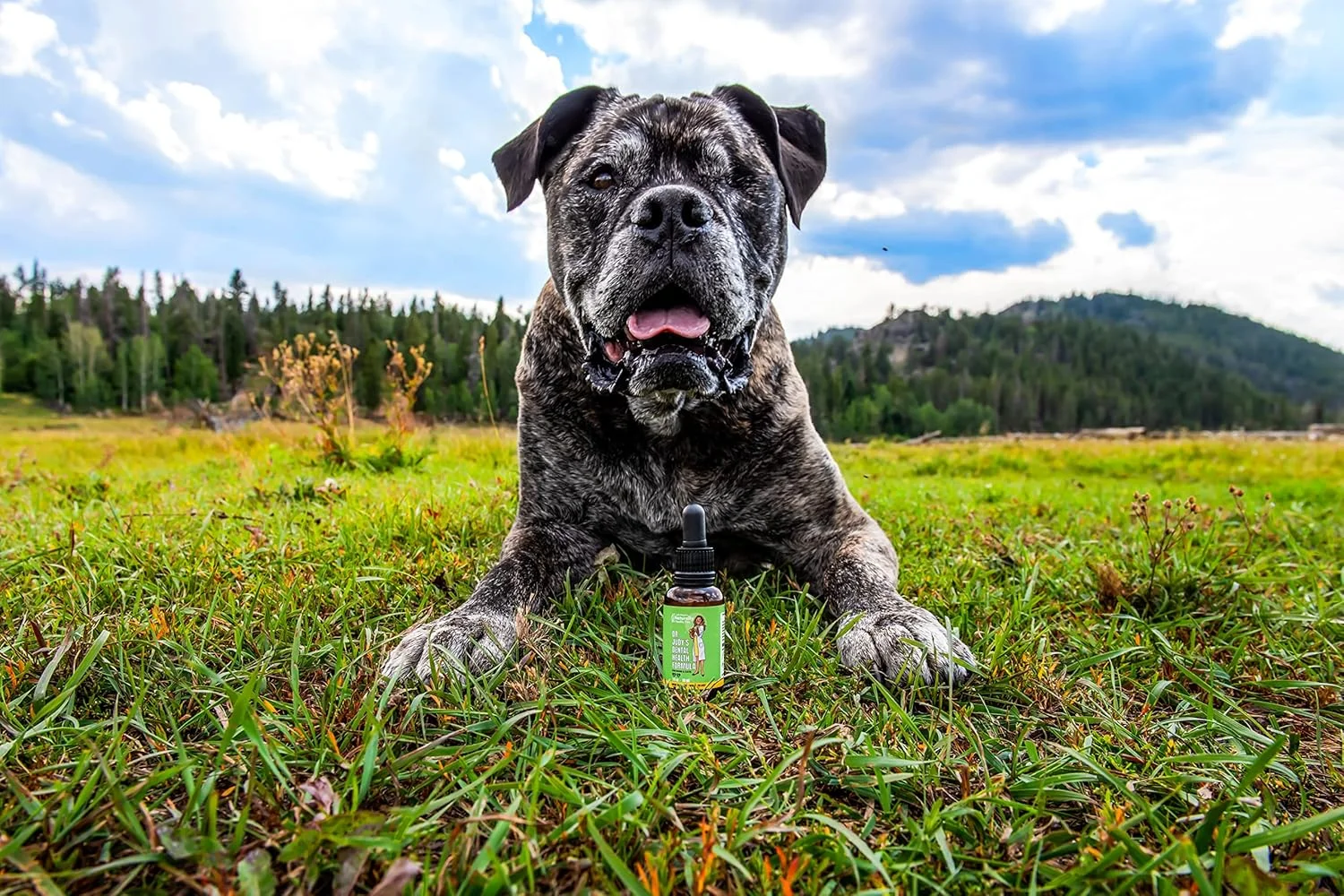 محلول بهداشت دهان و دندان دکتر جودی مورگان برای سگ و گربه، 30 میلی لیتر