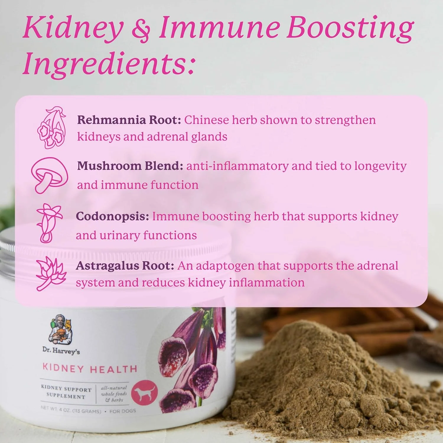 مکمل پشتیبانی از سلامت کلیه سگ دکتر هاروی (113 گرم)