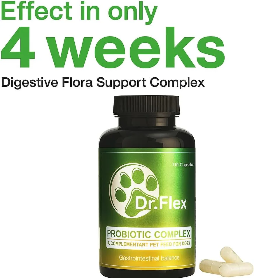 کمپلکس پروبیوتیک دکتر فلکس برای سگ ها - 110 کپسول گیاهی - دوز بالا برای حمایت از هضم و ساخت فلور روده در سگ ها - حاوی لاکتوباسیلوس اسیدوفیلوس، لیپاز، سلولاز و پروتئاز