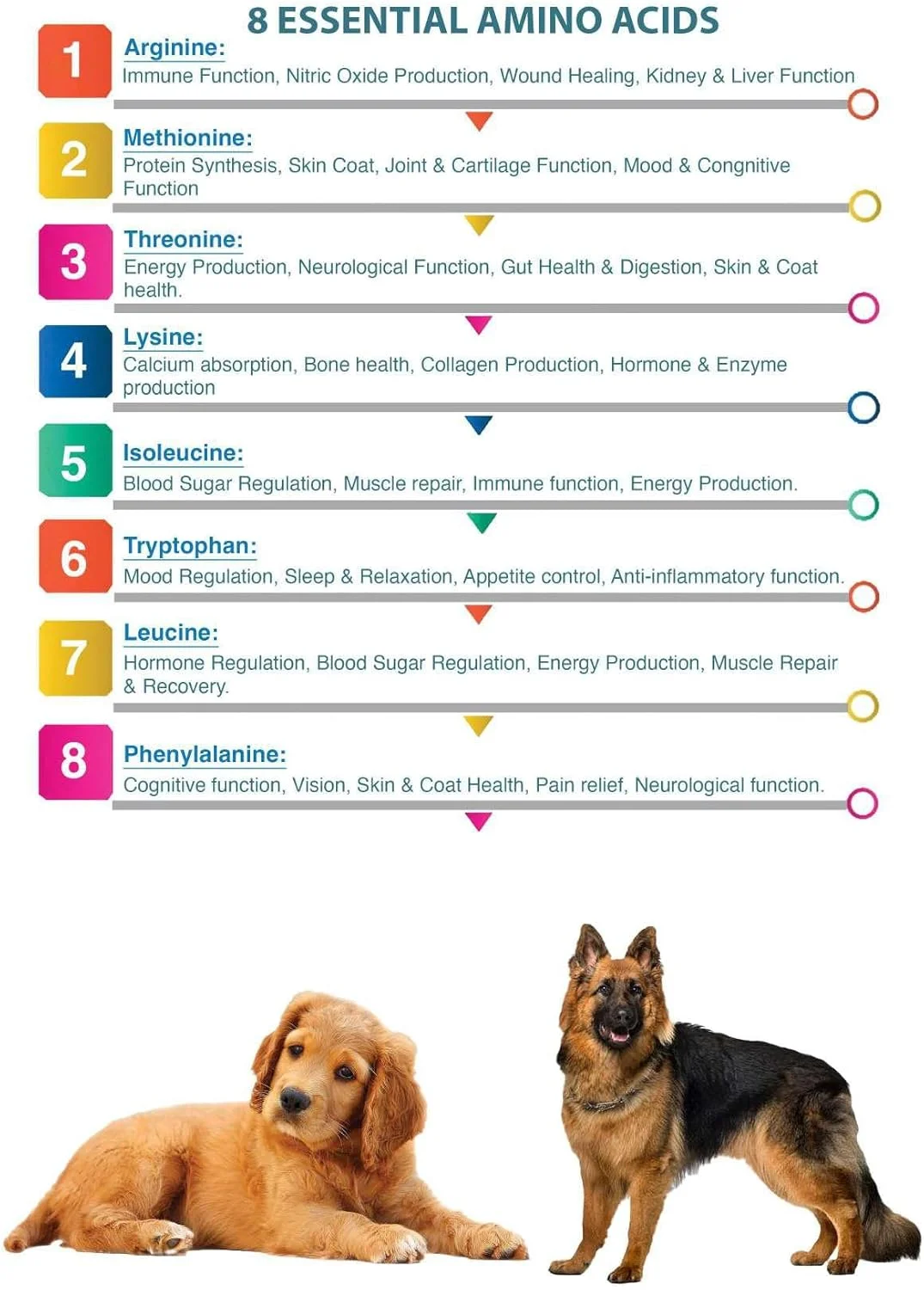 پودر پروتئین با 8 آمینو اسید ضروری | 14 ویتامین و ماده معدنی برای سگ | مکمل غذایی روزانه. (200 گرم)