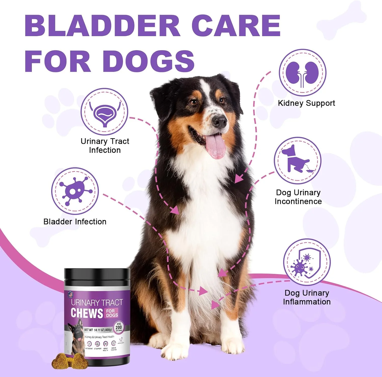 مکمل کرن‌بری برای سگ‌ها، درمان عفونت ادراری، 200 عدد جویدنی، دارو برای مجاری ادراری، قرص کنترل مثانه، پشتیبانی از کلیه، عصاره کرن‌بری، درمان عفونت ادراری توله سگ، درمان بی‌اختیاری ادرار برای سگ‌ها