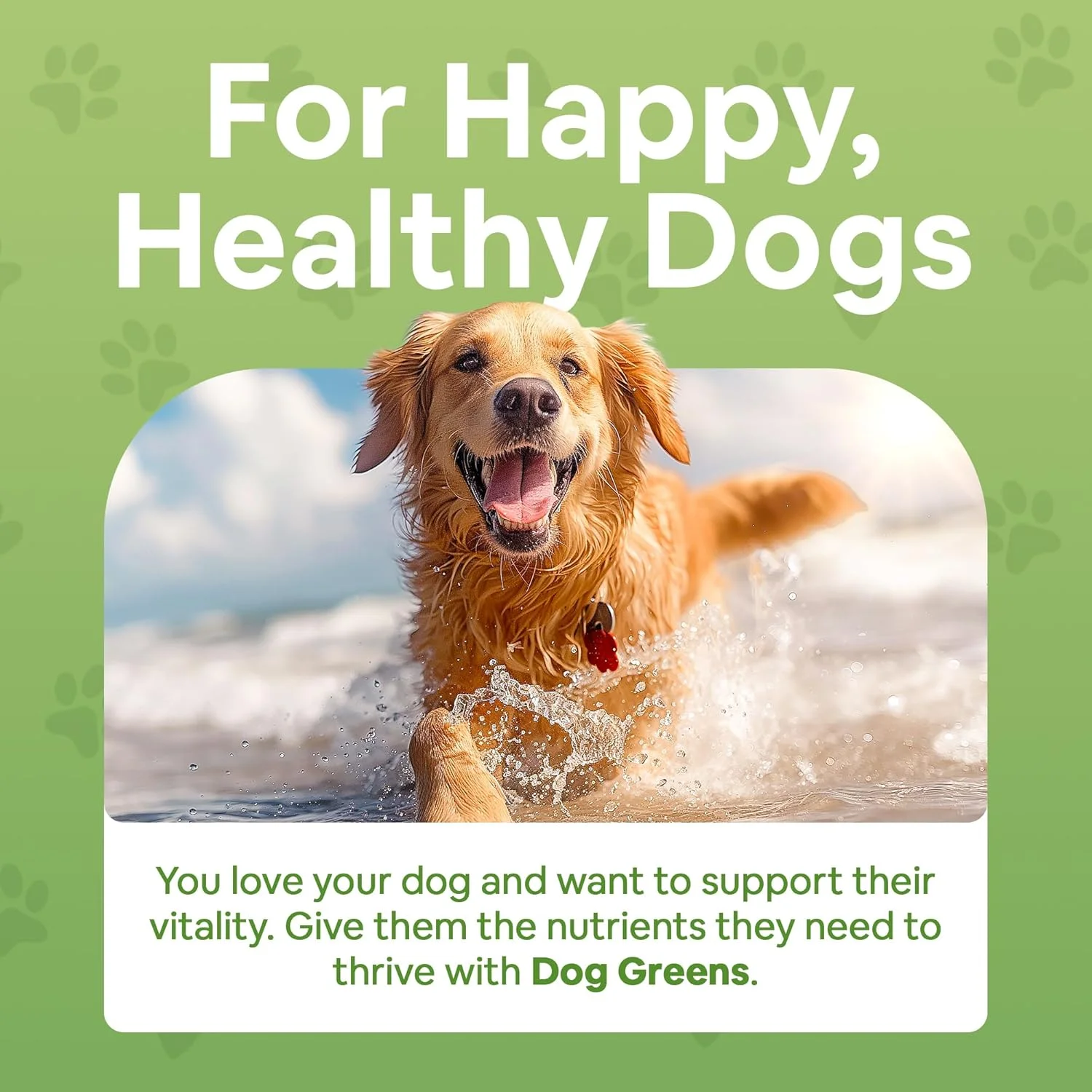 پودر مولتی ویتامین سوپرفود - ویتامین ها و مکمل های سگ، جلبک دریایی ارگانیک، اسپیرولینا، خزه دریایی برای غذای خانگی، غذای خشک و وعده های غذایی خام، انرژی، سیستم ایمنی، مفاصل و پشتیبانی از پوست برای همه سنین