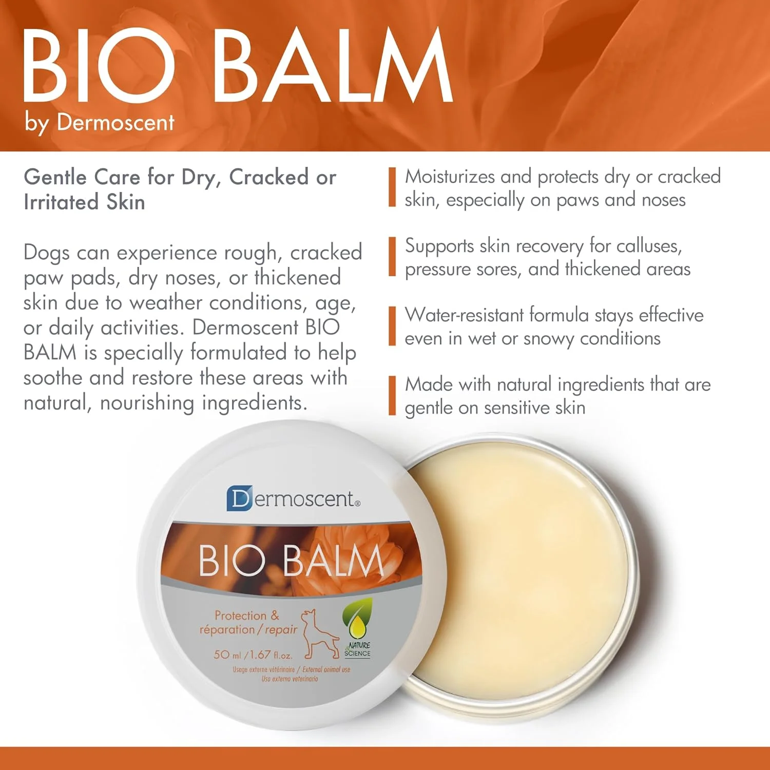 مرهم آبرسان پنجه سگ درموسنت بایو بالم 50 میلی لیتر